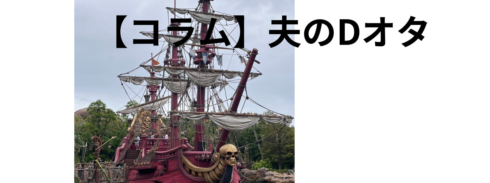 【コラム】夫のDオタ