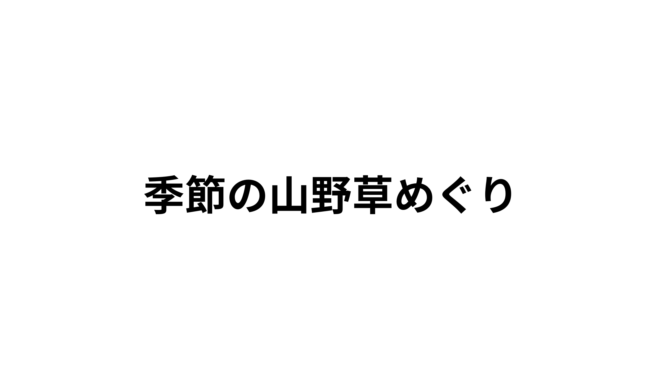 季節の山野草めぐり